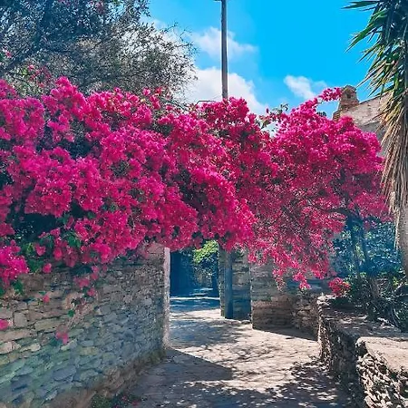 Teos Sunset View Apartman Bací