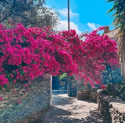 Teos Sunset View Apartamento Batsi (Andros)